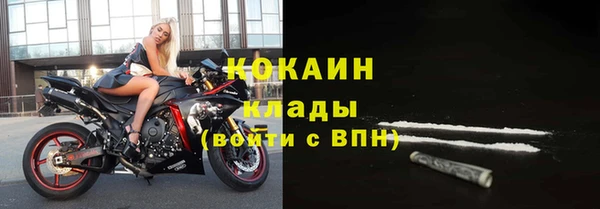 гашик Аркадак