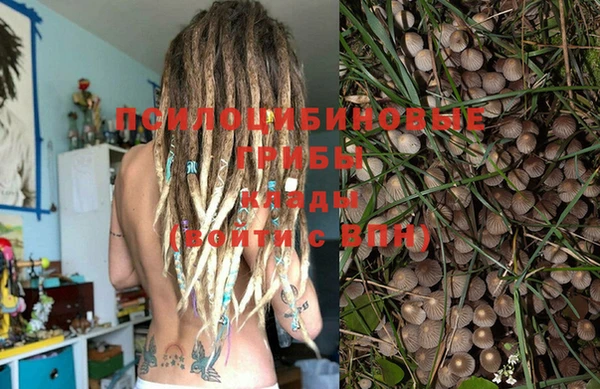 гашик Аркадак