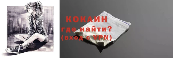 спайс Арсеньев