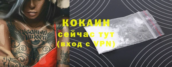 стаф Алзамай
