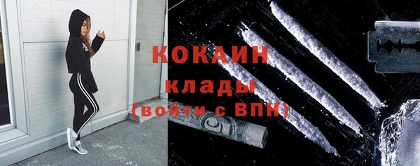 гашик Аркадак